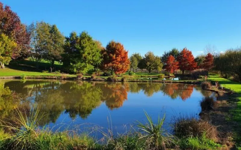 Double Ponds