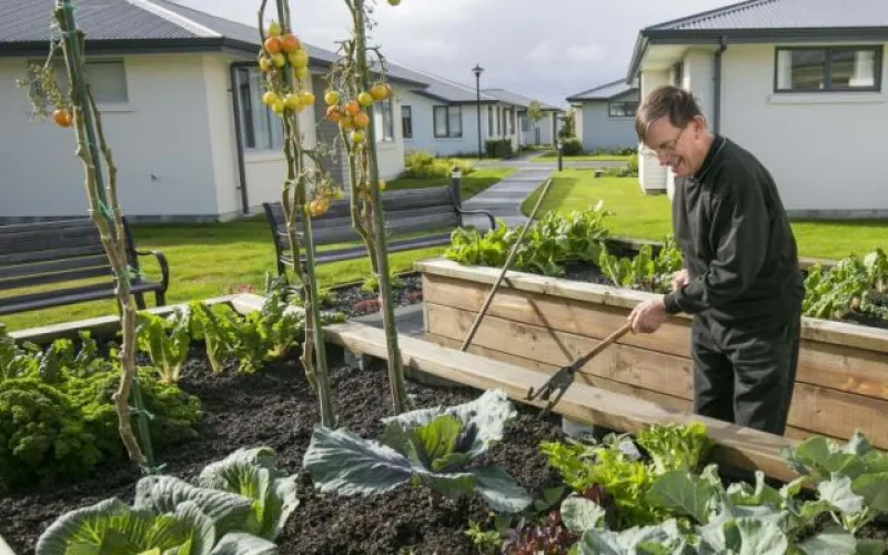 Shared Gardens